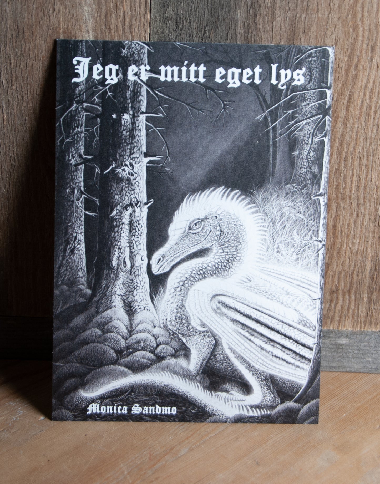 Kunstkort Jeg er mitt eget lys Svarthvit - Postkort 10,5x15cm