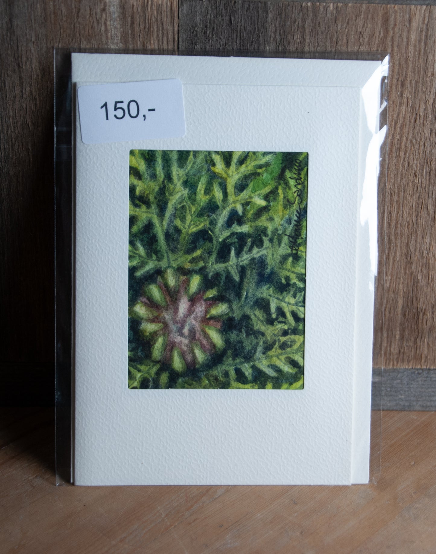 Håndmalt Akvarellkort Ringkrage Knopp - Unikt Kort