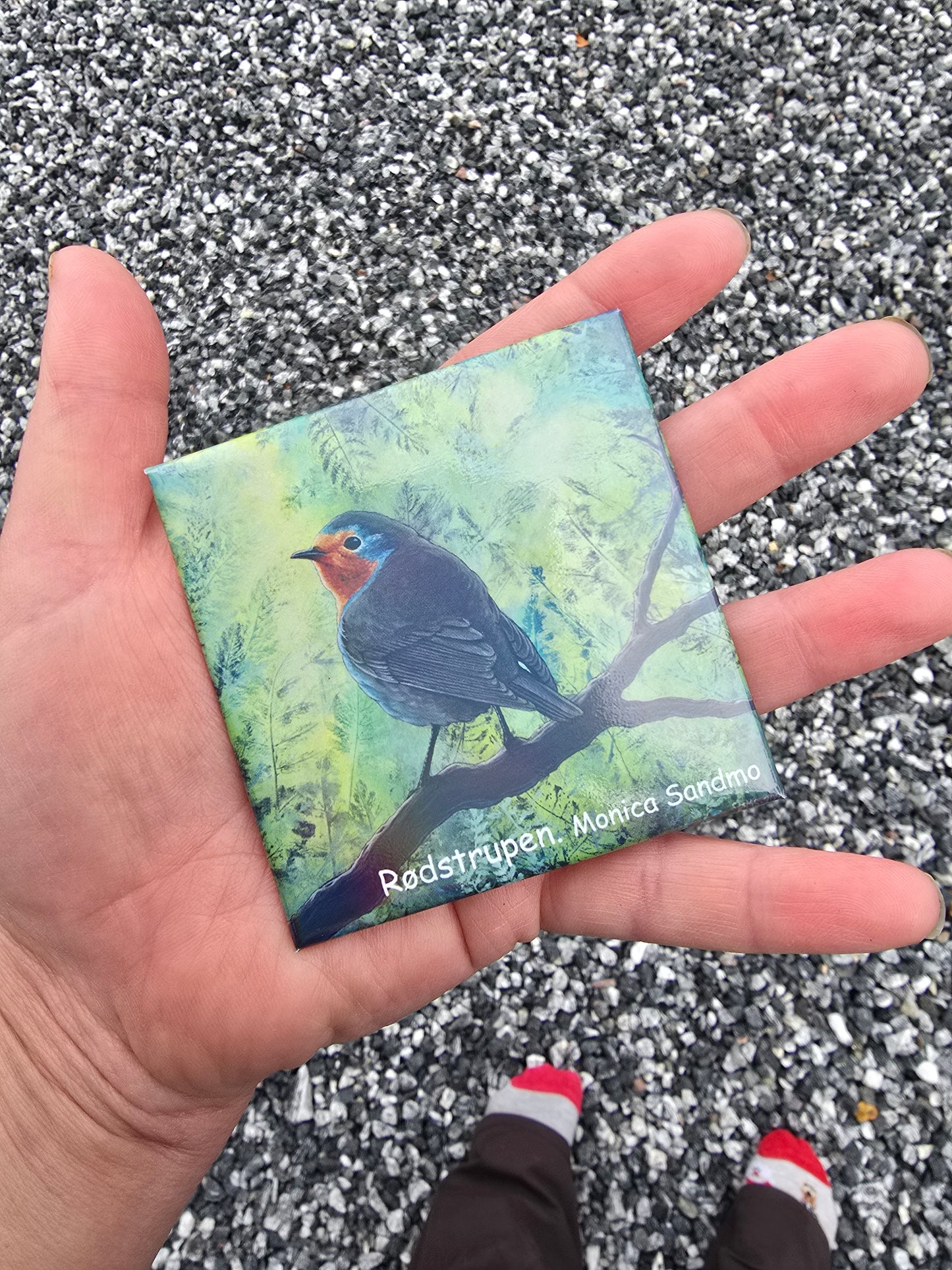 Kjøleskapsmagnet Rødstrupen Firkantet - 8x8cm