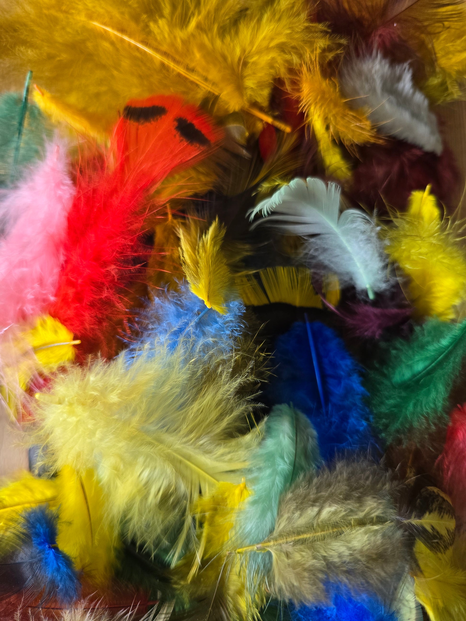 Håndfargete fjær fra Norske Høns og Kalkuner. Store og små fjær, Fargemiks. 300 fjær i pakken. Faret med jaquard syrefarger