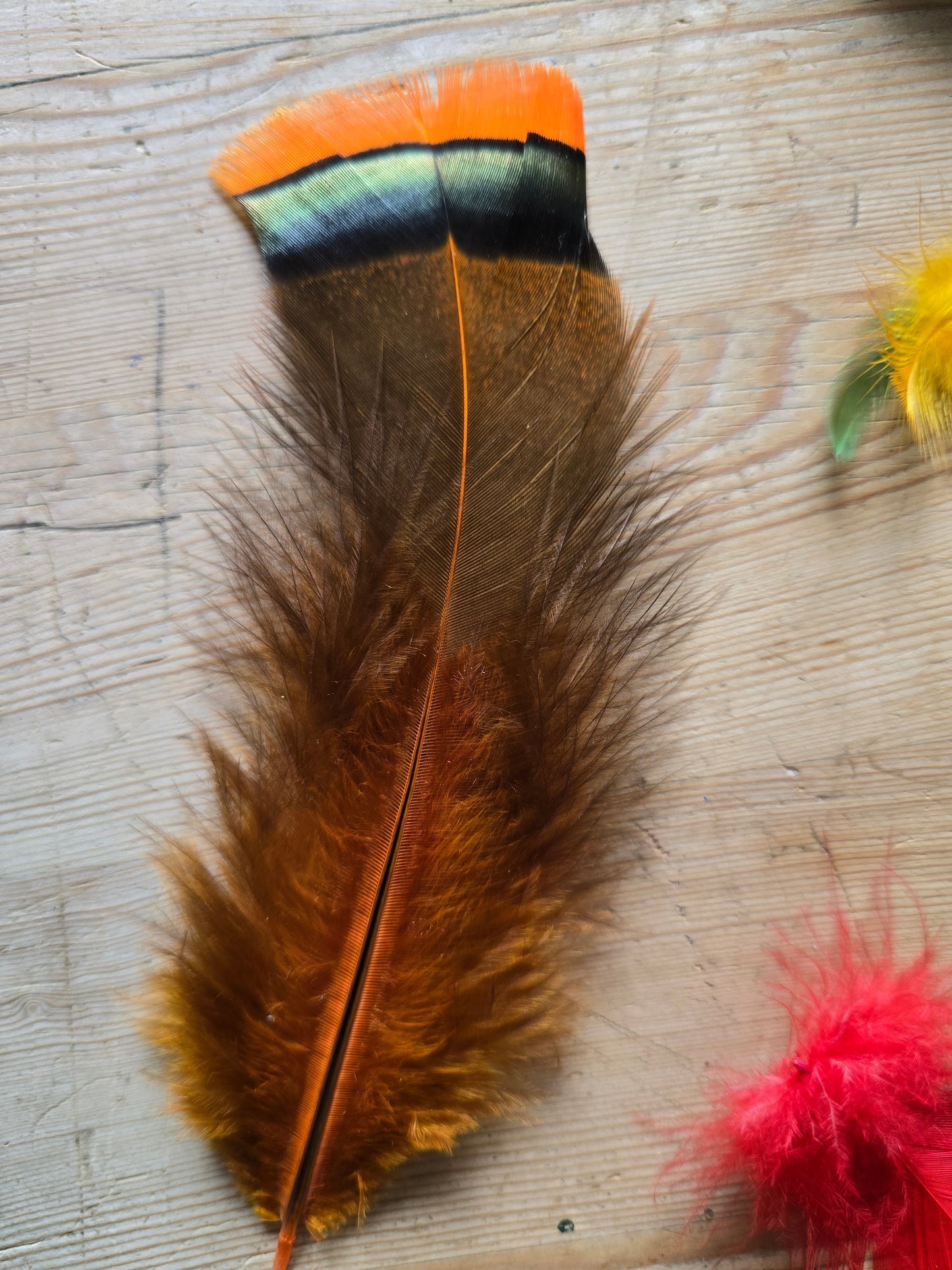 Håndfargete fjær fra Norske høns og Kalkuner. Store og små fjær, Fargemiks. 300 fjær i pakken. Faret med jaquard syrefarger. Bildet viser fjær av Bronsekalkun.