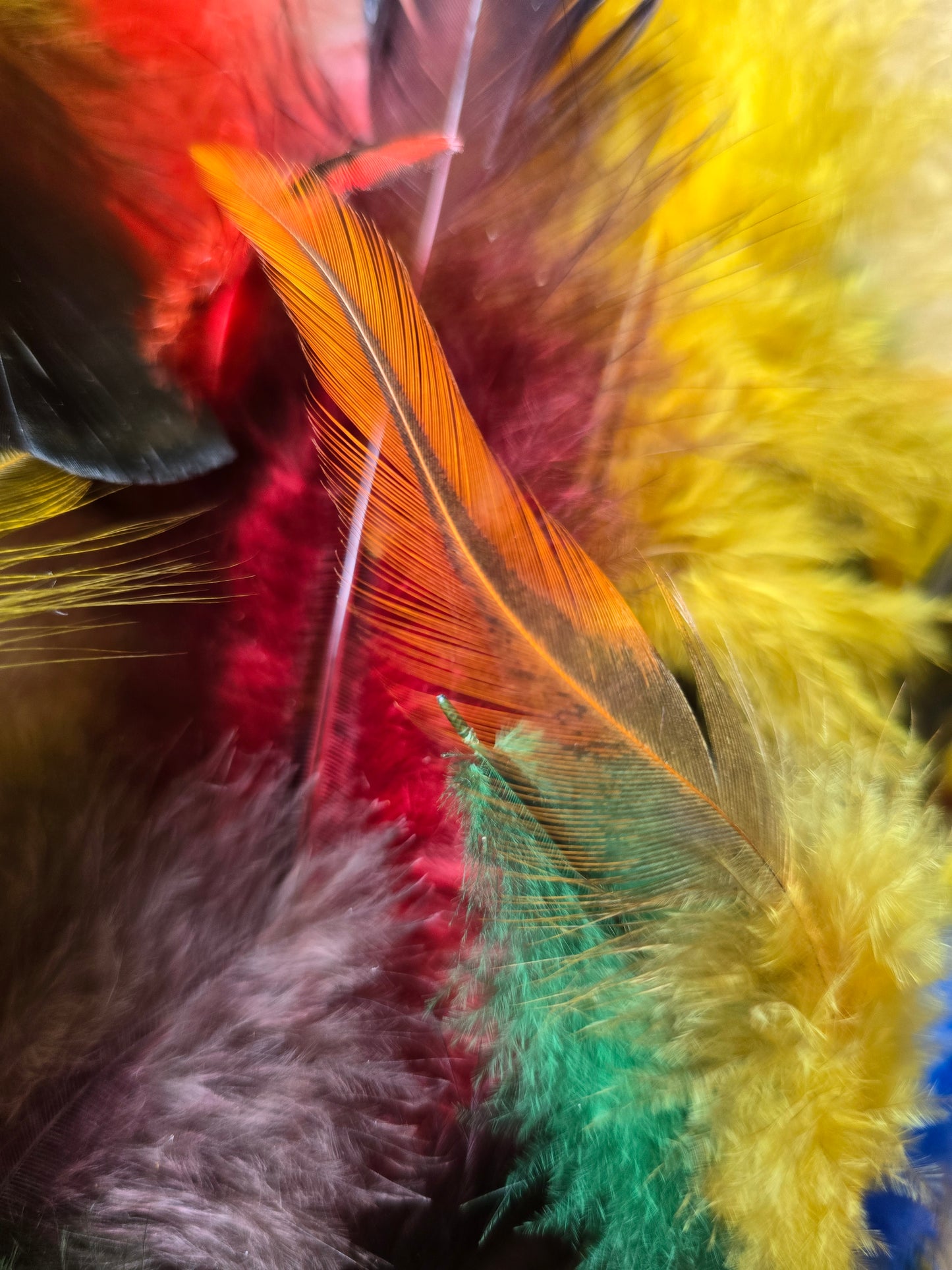 Håndfargete fjær fra Norske Høns og Kalkuner. Store og små fjær, Fargemiks. 300 fjær i pakken. Faret med jaquard syrefarger
