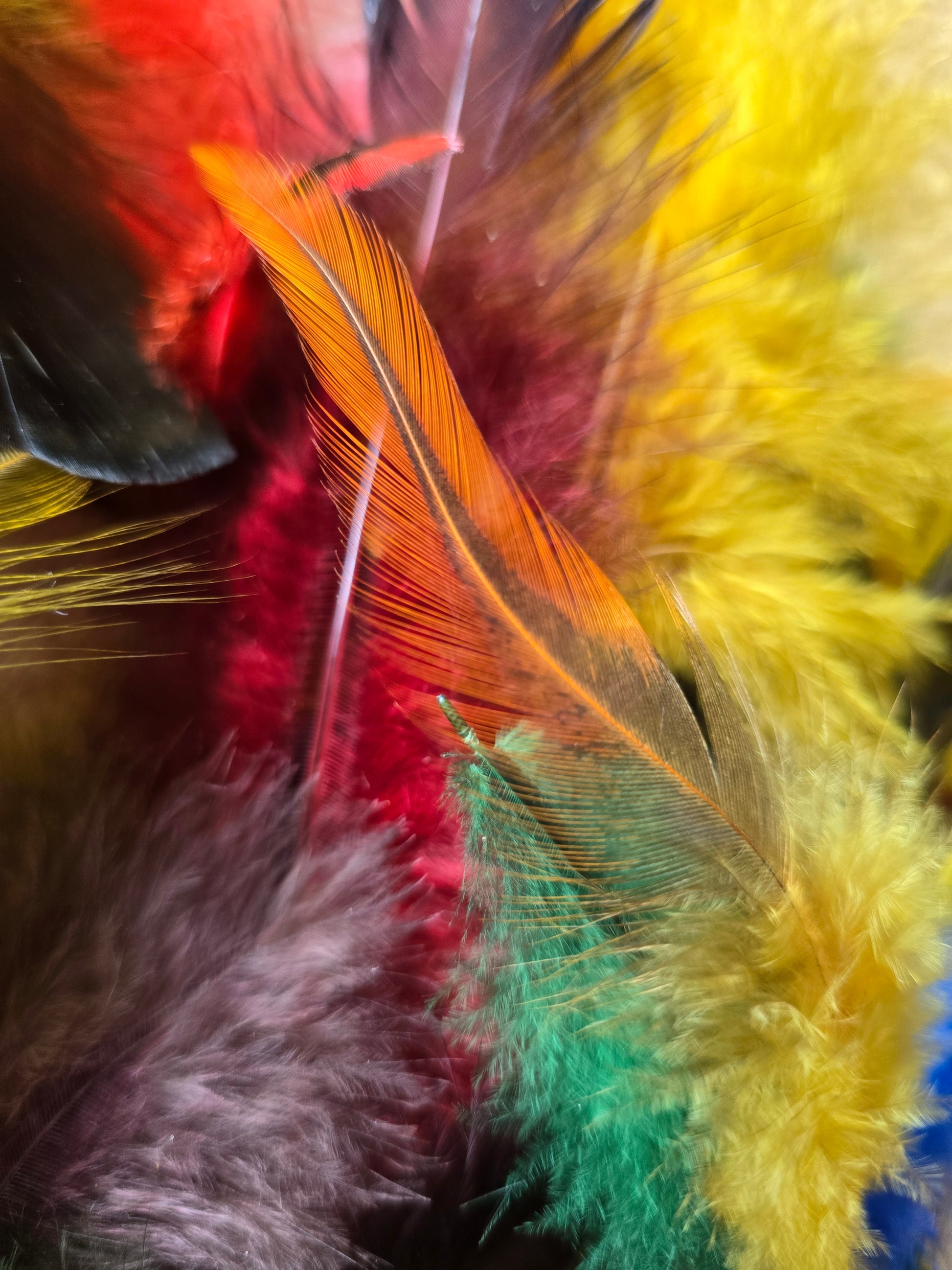 Håndfargete fjær fra Norske Høns og Kalkuner. Store og små fjær, Fargemiks. 300 fjær i pakken. Faret med jaquard syrefarger