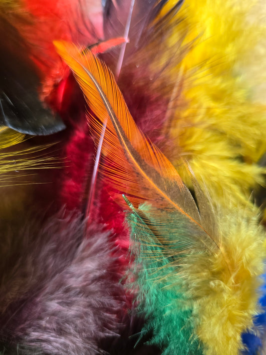 Håndfargete fjær fra Norske Høns og Kalkuner. Store og små fjær, Fargemiks. 300 fjær i pakken. Faret med jaquard syrefarger