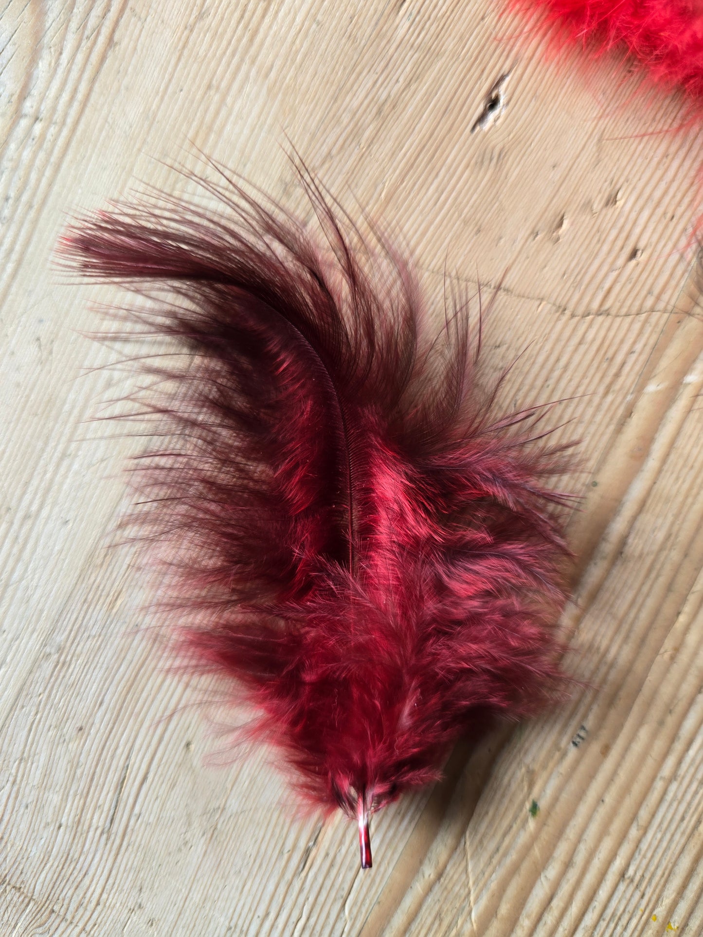 Pakke med håndfargede røde og lyserøde fjær fra høner og kalkuner som har levd gode liv i norge. !00 stk i pakken. Her er nærbilde av en rødfarget grå dunfjær fra kalkun.