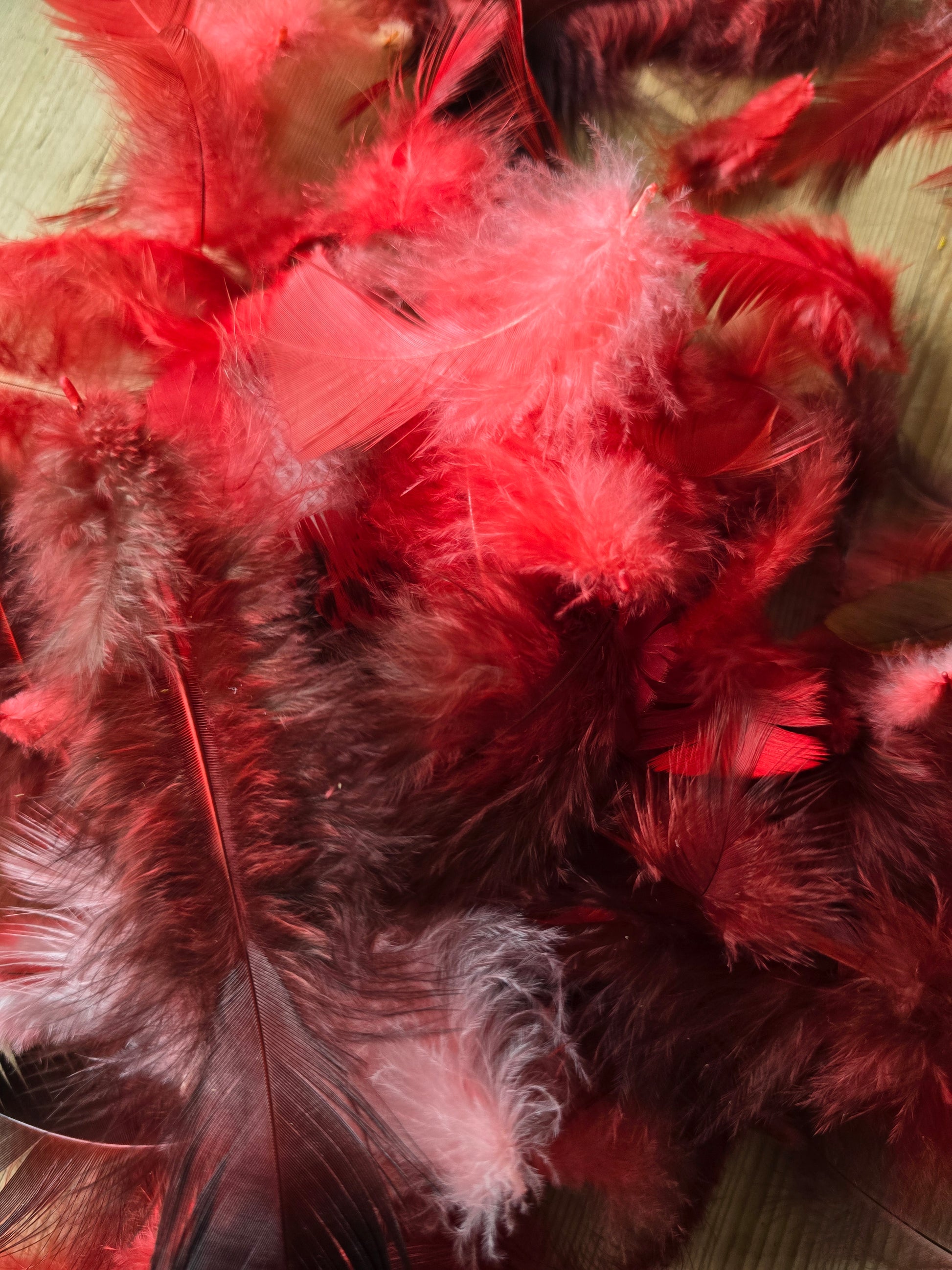 Pakke med håndfargede røde og lyserøde fjær fra høner og kalkuner som har levd gode liv i norge. !00 stk i pakken. 