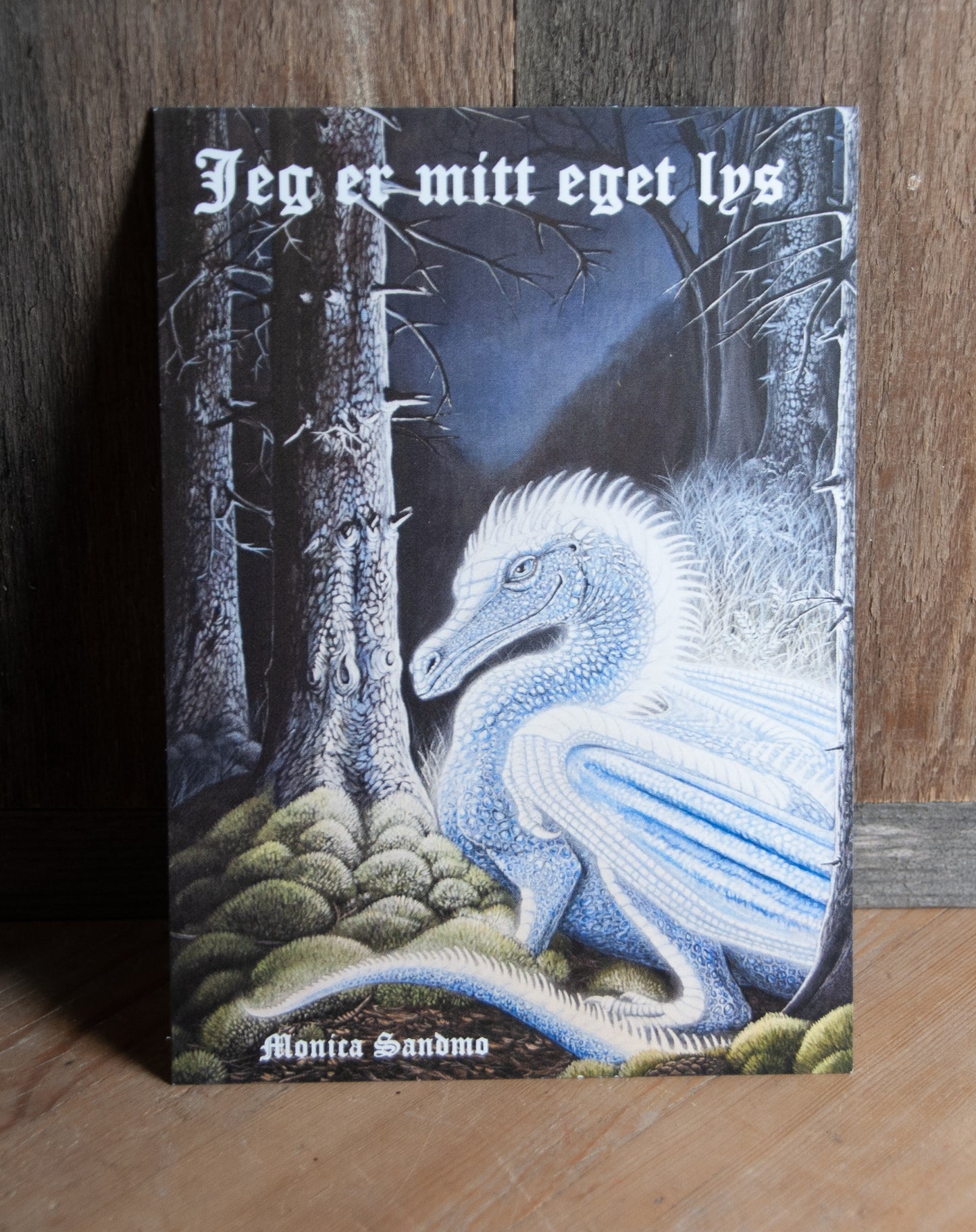 Kunstkort Mixpakke 12 stk - Postkort 10,5x15cm