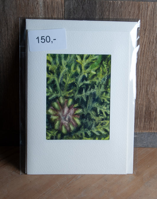 Håndmalt Akvarellkort Ringkrage Knopp - Unikt Kort