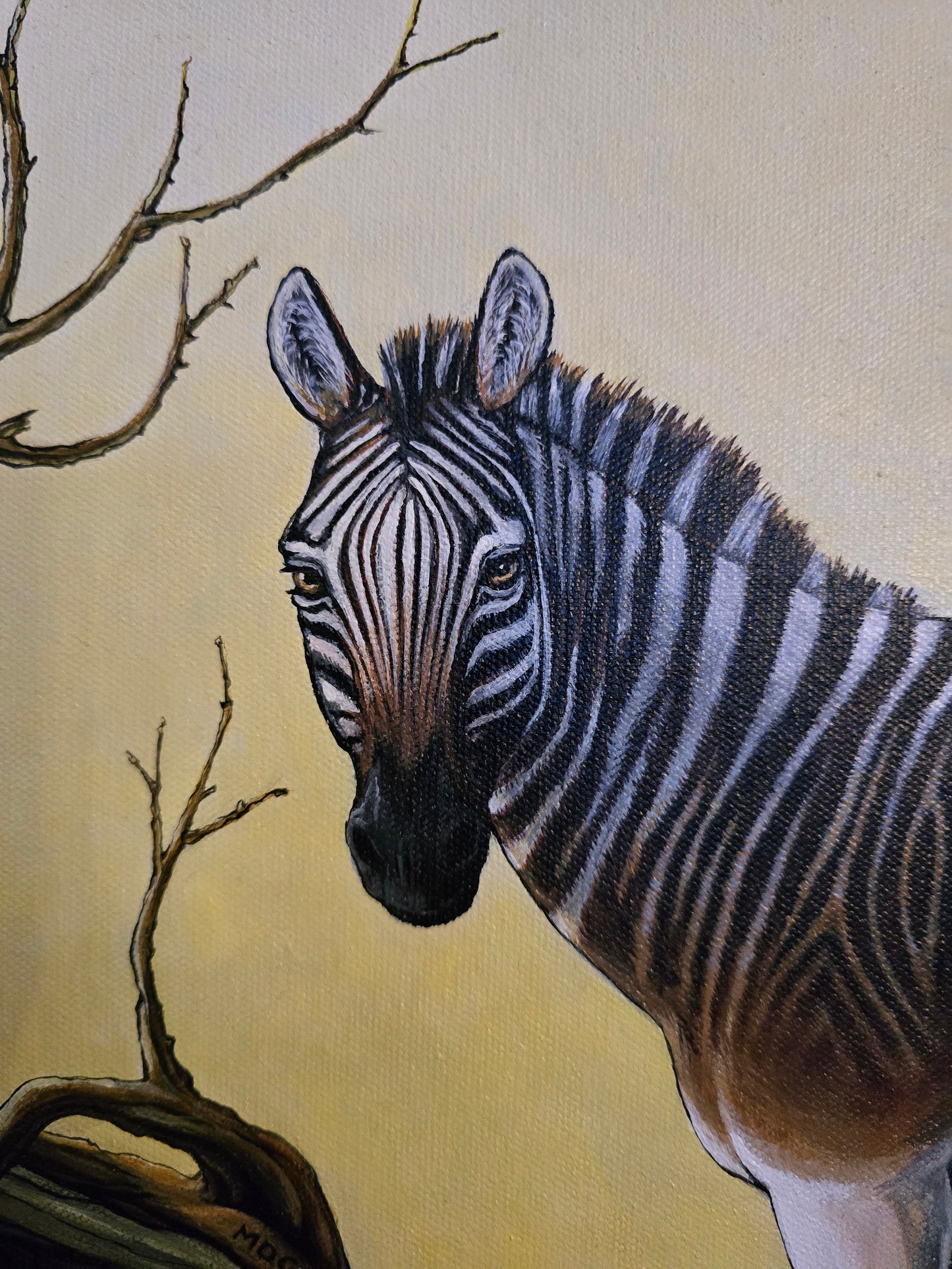 Originalt Akrylmaleri - Folk er Folk, (Quagga) Innrammet 55,5 cmx 55.5 cm